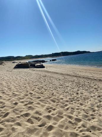 Terreno en a Mexilloeira s/n