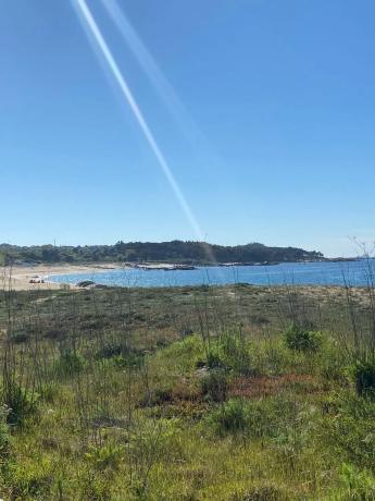 Terreno en a Mexilloeira s/n