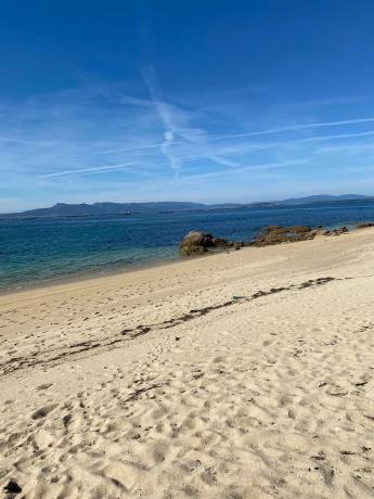 Terreno en a Mexilloeira s/n