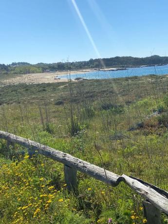 Terreno en a Mexilloeira s/n