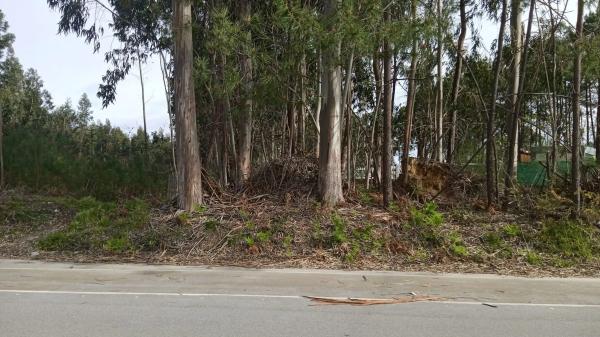 Terreno en Terrón, 19