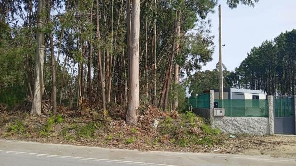 Terreno en Terrón, 19