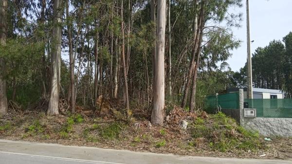 Terreno en Terrón, 19