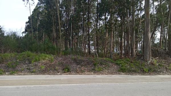 Terreno en Terrón, 19