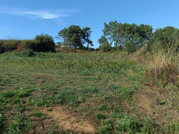 Terreno en calle Aios, 162 a