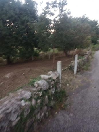 Terreno en camino Vello de Ardia, 79 parcela