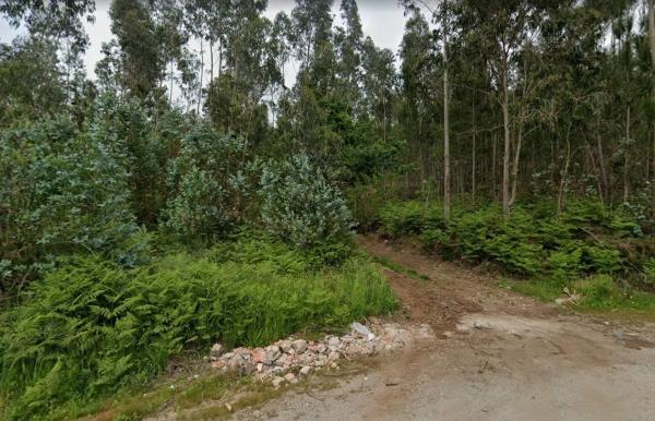 Terreno en Monte Faro Su-14 s/n