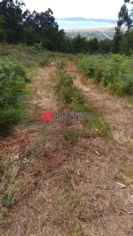 Terreno en carretera das Canteiras