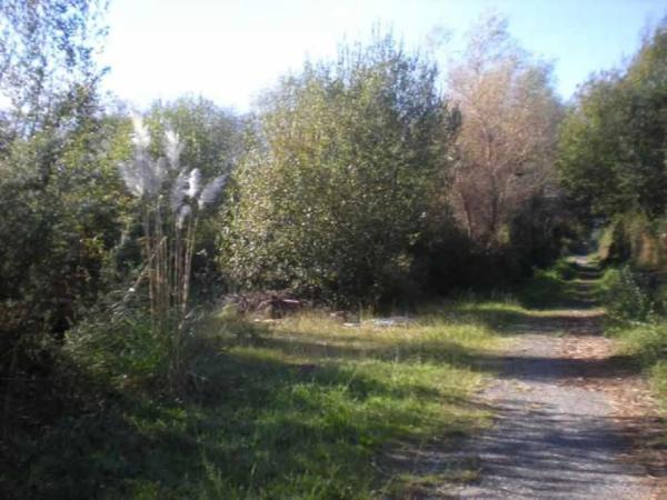 Terreno en calle Tombelo