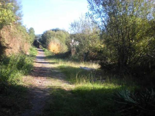 Terreno en calle Tombelo