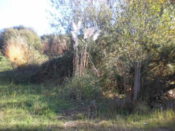 Terreno en calle Tombelo