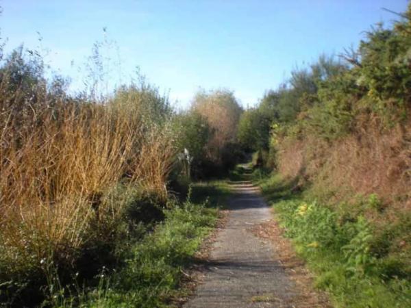Terreno en calle Tombelo
