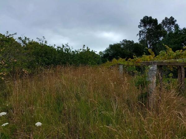 Terreno en Ep-9205, 15