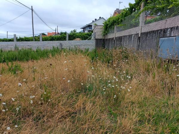 Terreno en Ep-9205, 15