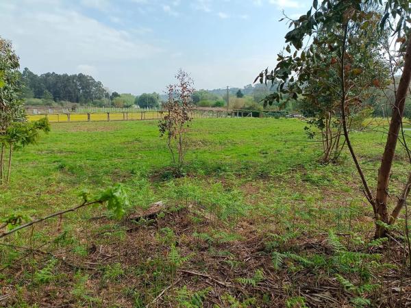 Terreno en Cabanelas s/n