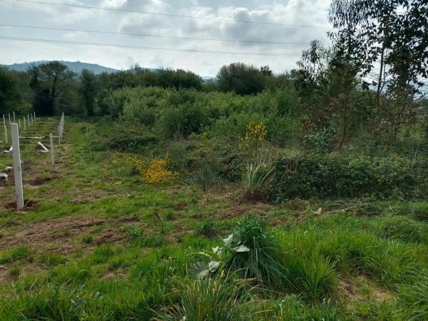 Terreno en Cabanelas s/n