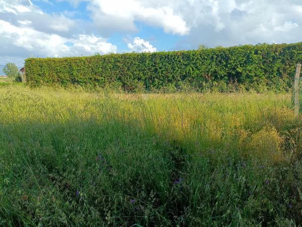 Terreno en Lugar Arra