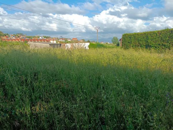Terreno en Lugar Arra