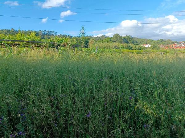 Terreno en Lugar Arra