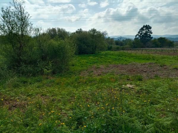 Terreno en Cabanelas s/n