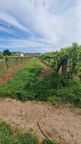 Terreno en Lugar Montalvo 3