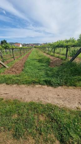 Terreno en Lugar Montalvo 3