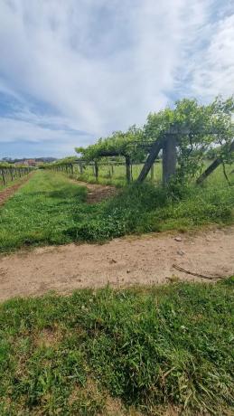 Terreno en Lugar Montalvo 3