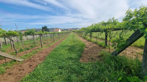 Terreno en Lugar Montalvo 3