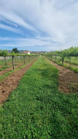 Terreno en Lugar Montalvo 3