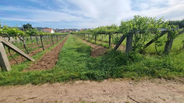 Terreno en Lugar Montalvo 3