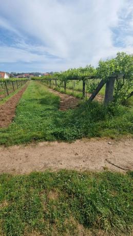 Terreno en Lugar Montalvo 3