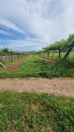 Terreno en Lugar Montalvo 3