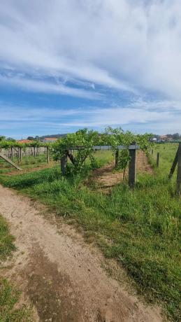 Terreno en Lugar Montalvo 3