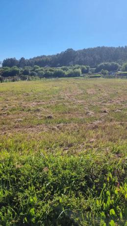 Terreno en Lugar Xesteiriña