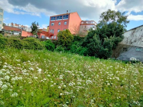 Terreno en calle Rosalía de Castro