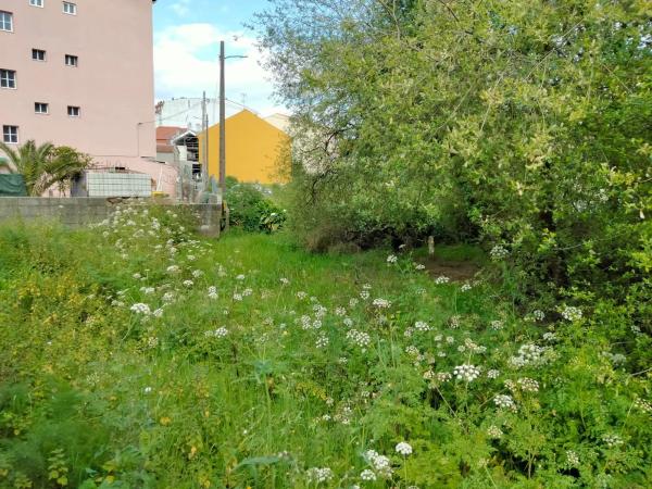 Terreno en calle Rosalía de Castro
