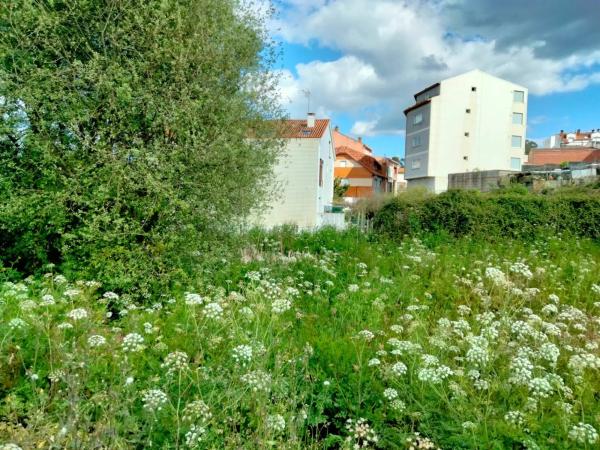 Terreno en calle Rosalía de Castro
