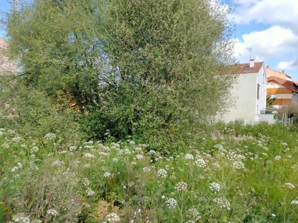 Terreno en calle Rosalía de Castro