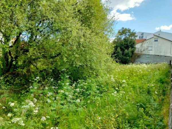 Terreno en calle Rosalía de Castro