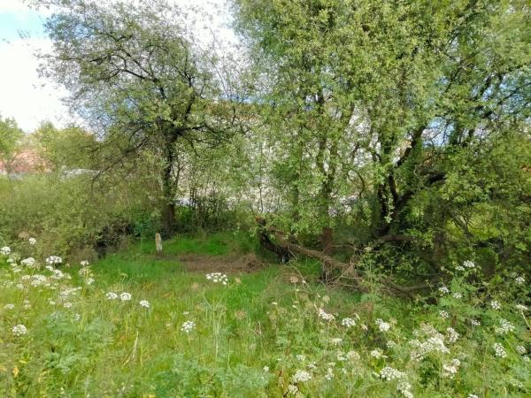 Terreno en calle Rosalía de Castro