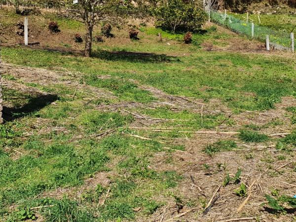Terreno en Bordones, Sanxenxo