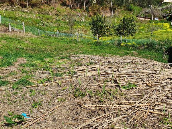 Terreno en Bordones, Sanxenxo