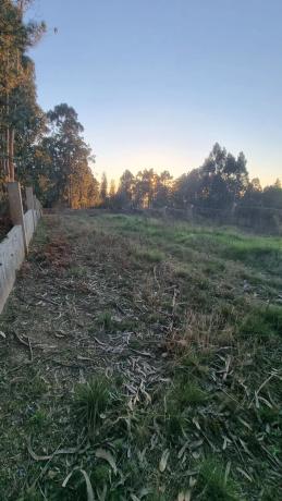 Terreno en Lugar Cova de Pazos