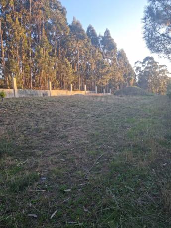 Terreno en Lugar Cova de Pazos