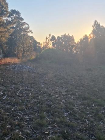 Terreno en Lugar Cova de Pazos