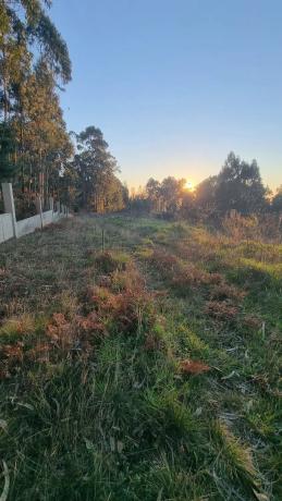 Terreno en Lugar Cova de Pazos