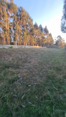 Terreno en Lugar Cova de Pazos