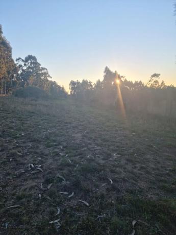 Terreno en Lugar Cova de Pazos