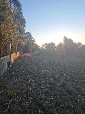 Terreno en Lugar Cova de Pazos