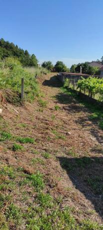 Terreno en camino Real de Trabanca, 18